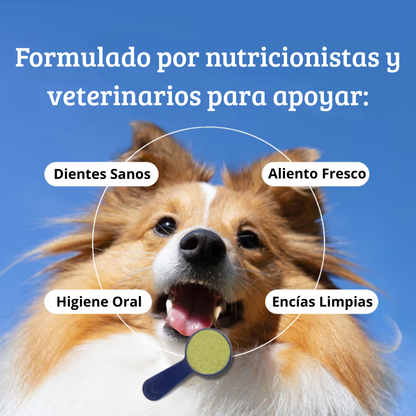 Optipet Oral Balance